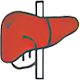 LIVER DISEASE